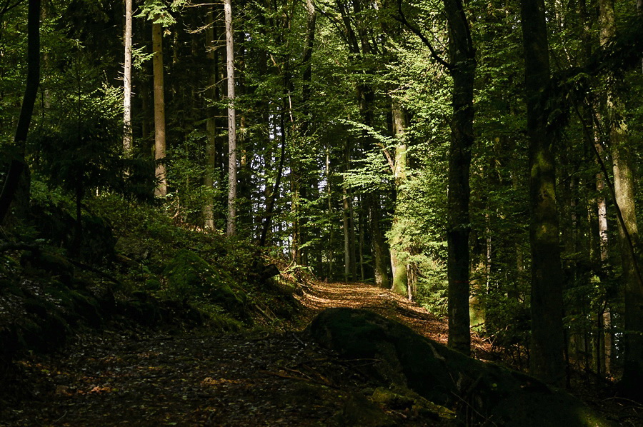 P13501477-1.jpg