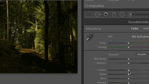 Wald.gif