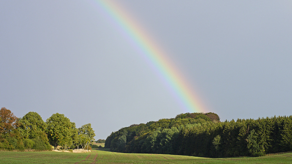 Regenbogen auf dem Land.jpg