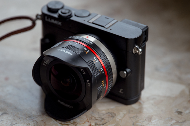 Walimex (1 von 1)-2.jpg