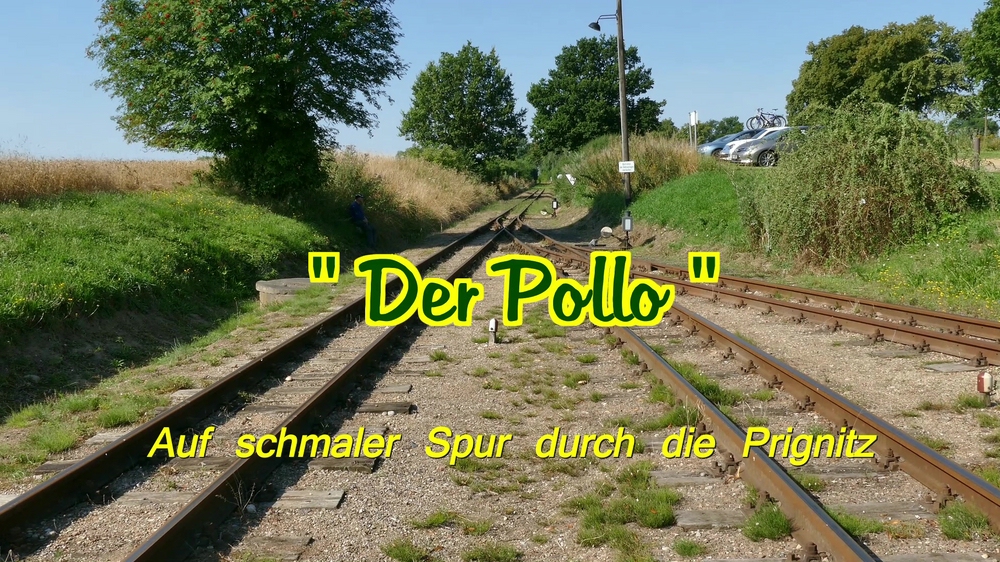 Start - Der Pollo .jpg
