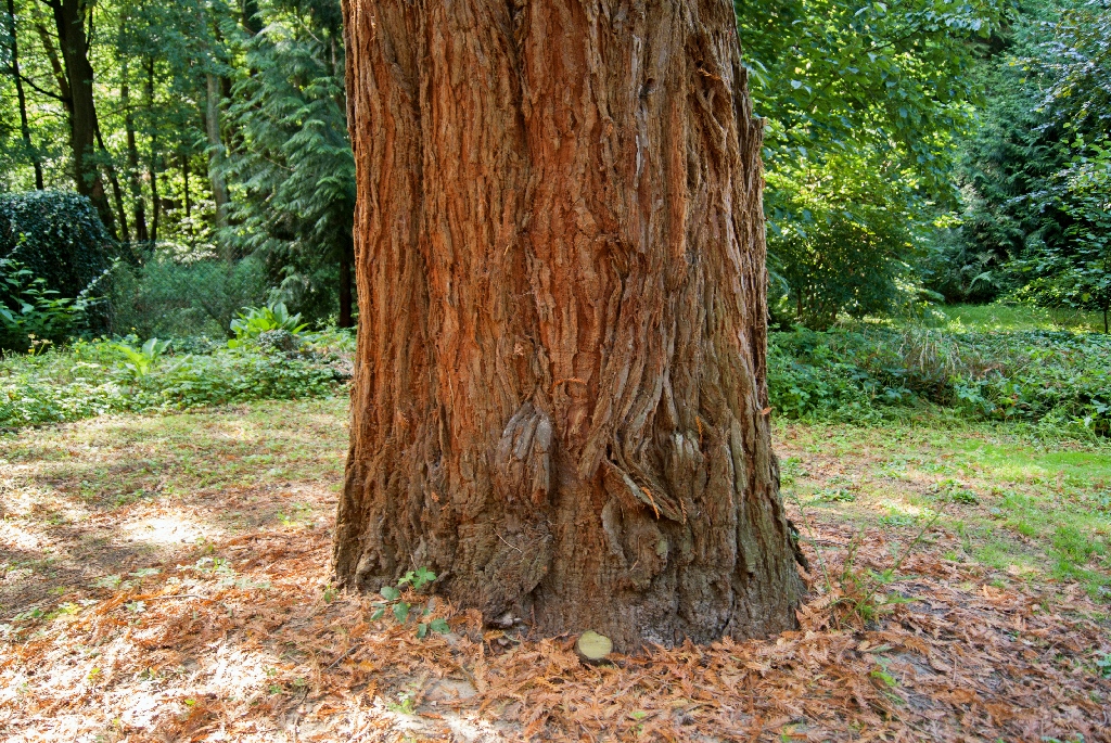DSC07662.jpg