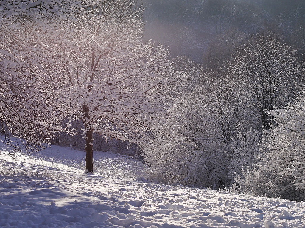 Winterzeit.jpg