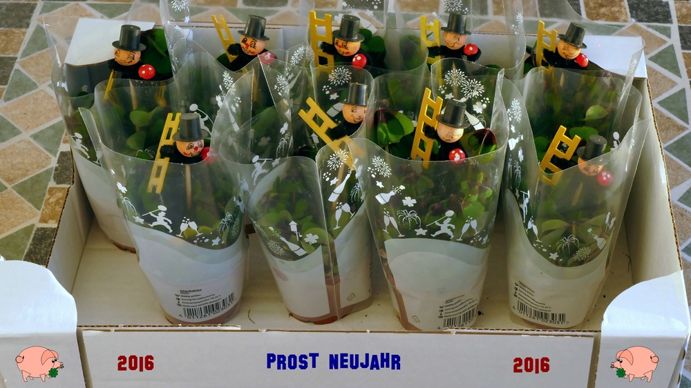 Prost Neujahr verkleinert.jpg