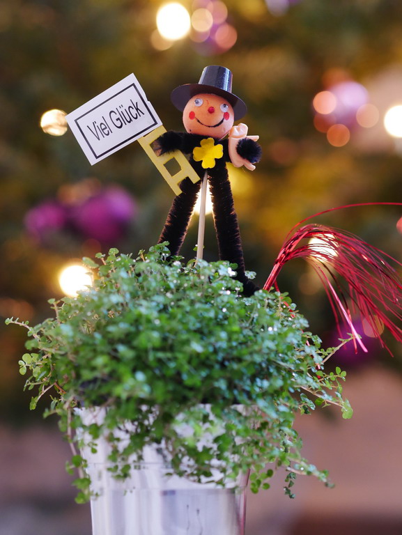 Viel Glück im neuen Jahr.jpg