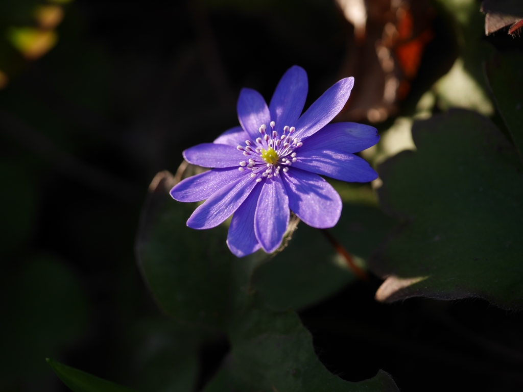 P1050415_768.jpg