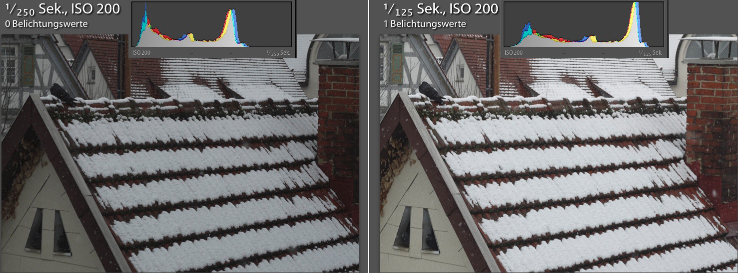 Schnee1tesPaar.jpg