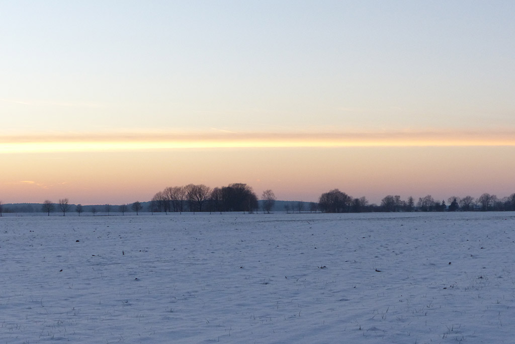 P1000773.jpg
