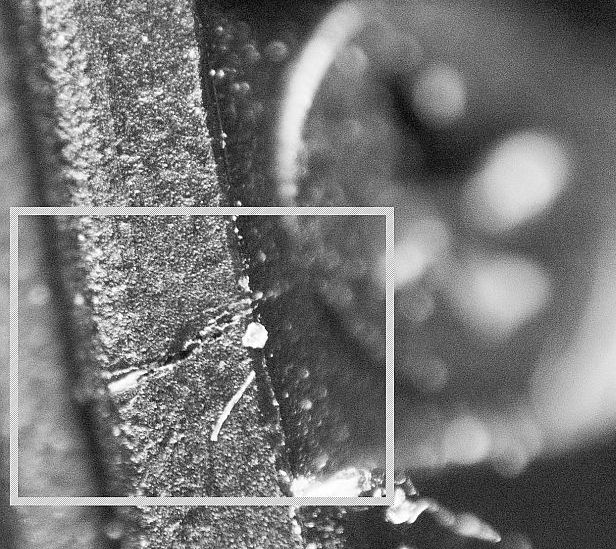 s-P1140930-46.jpg