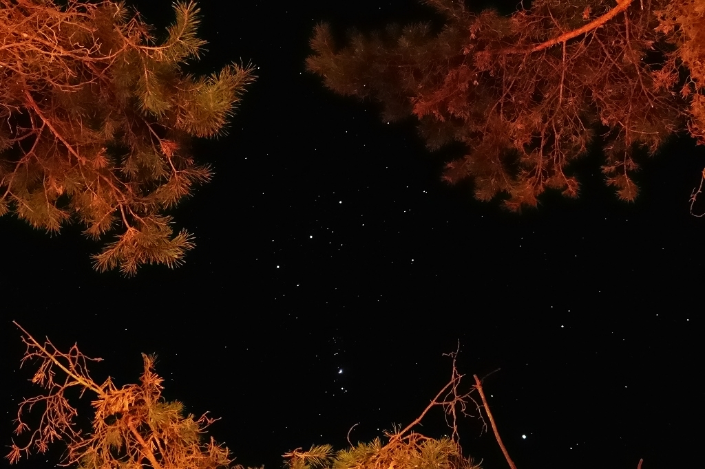 ISO 1600 - 4 sec Kopie.jpg