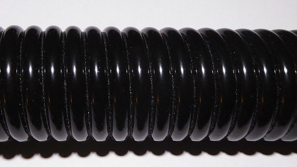P1010311.jpg