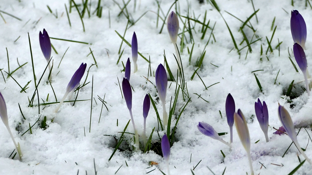 P1020508 xverkleinert.jpg