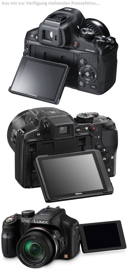 Fuji-Nikon-Panasonic-Displays.jpg