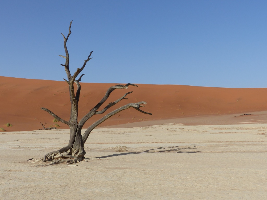 Dead Vlei.JPG
