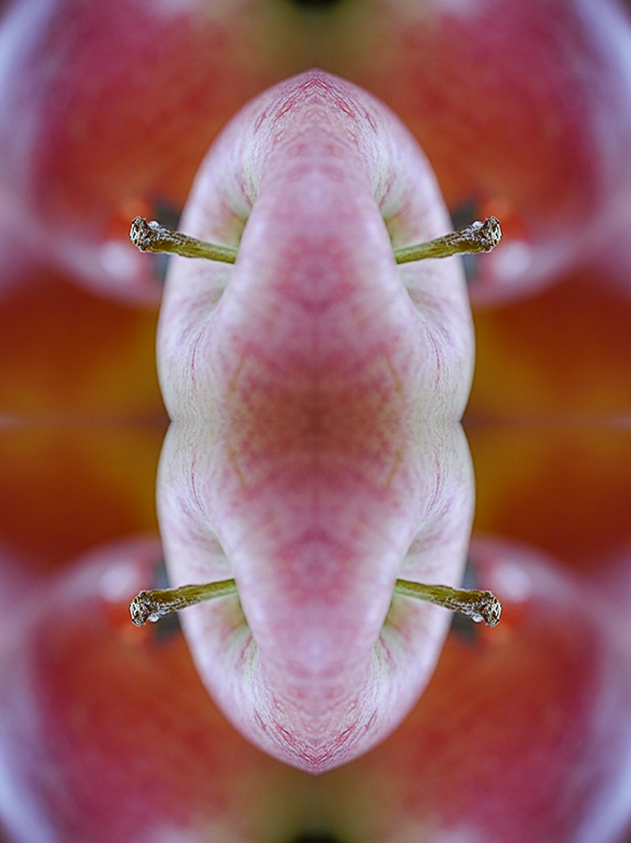 apfel-gespiegelt.jpg