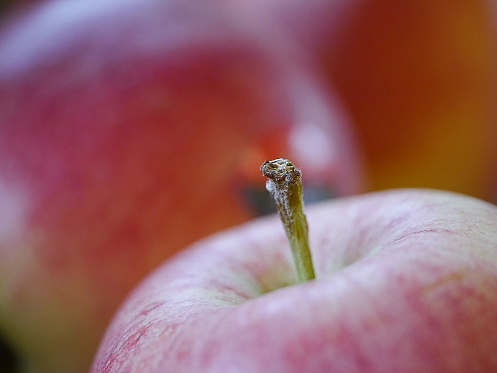 apfel-original.jpg