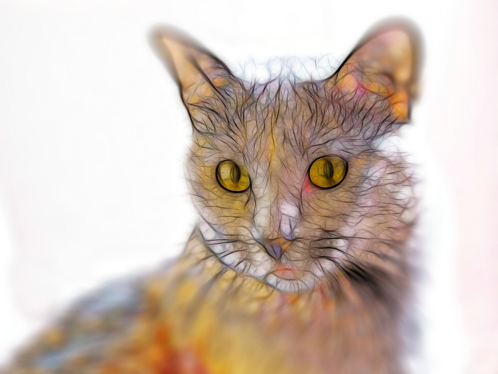 comp_Fritzi 01b fractal2 (P1020608).jpg