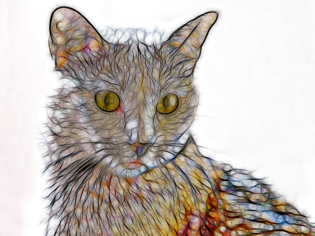 comp_Fritzi 01b fractal1b (P1020608).jpg