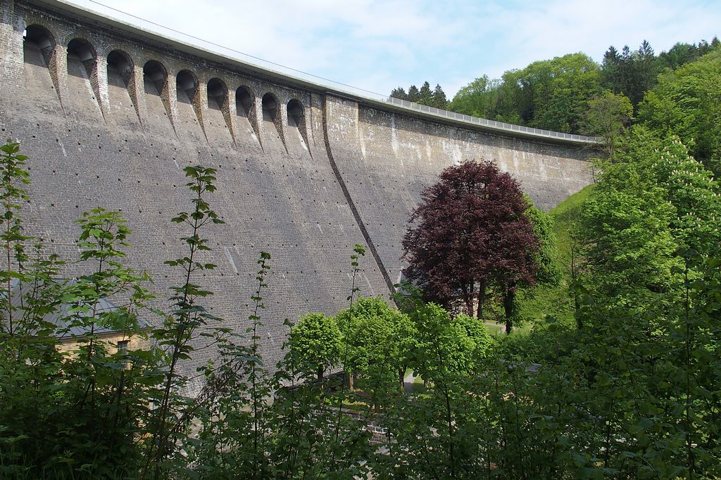 P5170018.JPG a 4.jpg