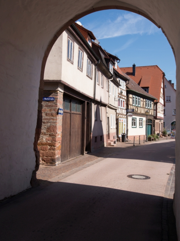 P1030507-2.jpg