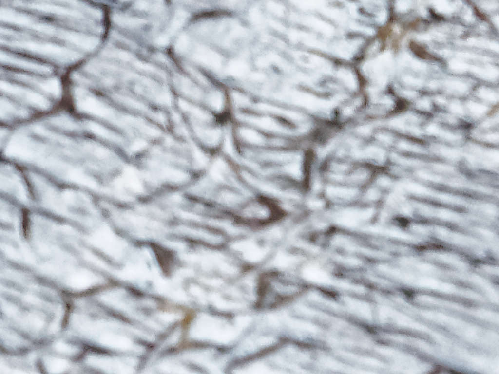 P1310477a.jpg