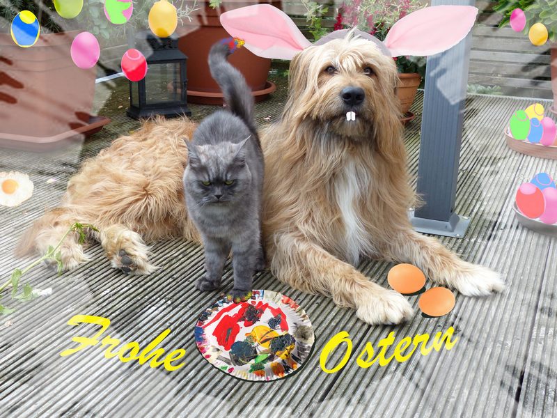 Frohe Ostern 2016.jpg