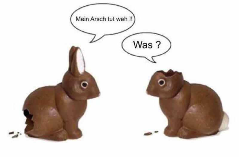 Osterhasen_3_1.jpg