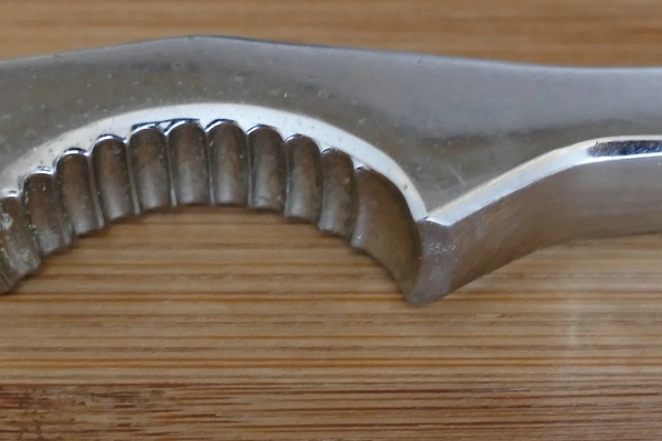 P1030832 x verkleinert.jpg
