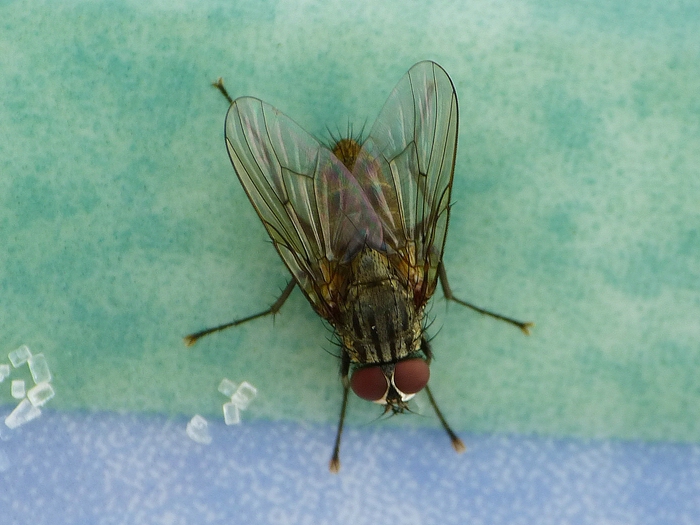 001 (7) verkleinert.jpg