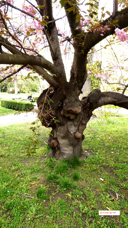 P1050133.jpg