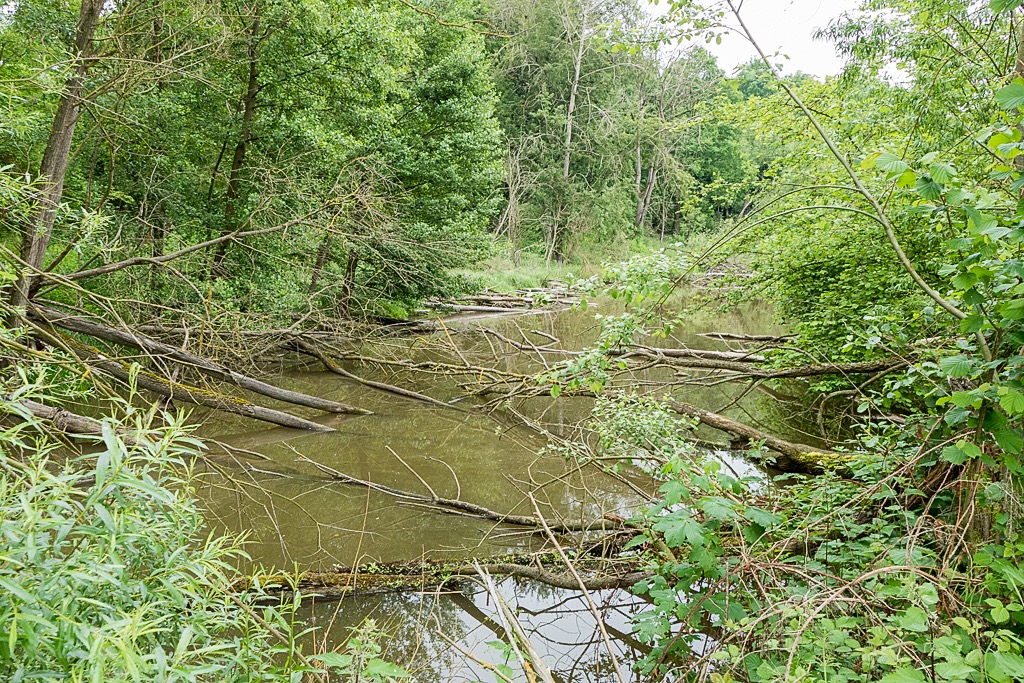 MM_20160525_1040667.jpg